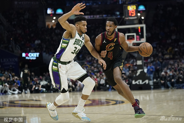 新西兰的守 新西兰的守